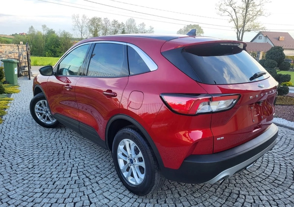 Ford Kuga cena 81900 przebieg: 26000, rok produkcji 2021 z Tarnów małe 436